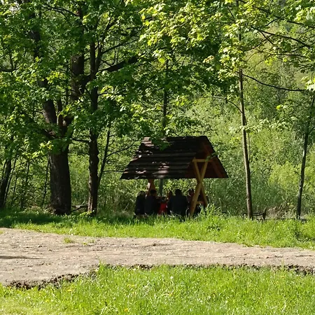 A-frame Family *
